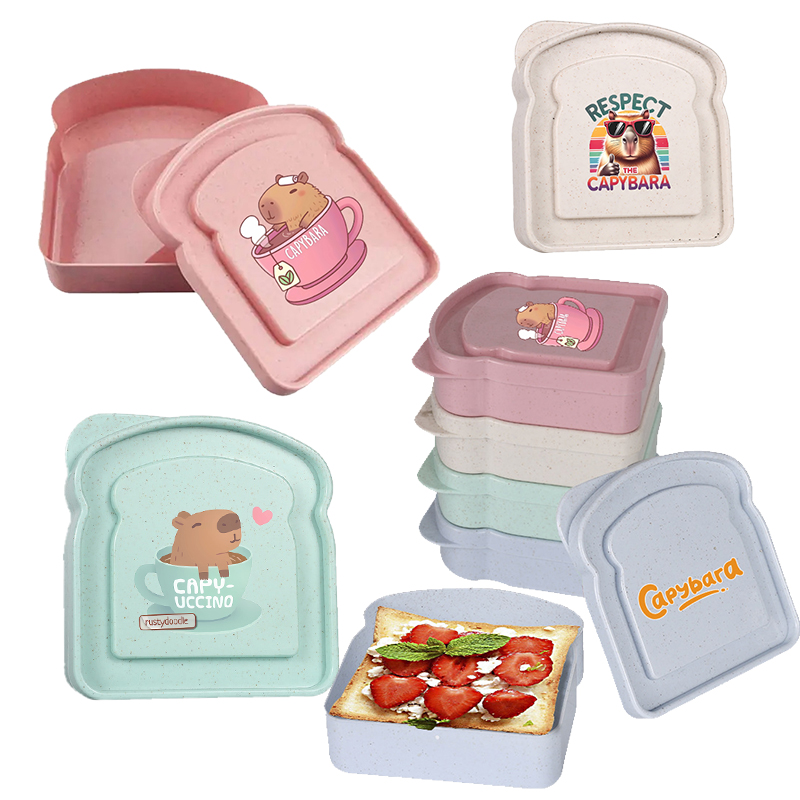 Food Storage Boxes With Lids - Capybara Sandwich mallette de conservation des