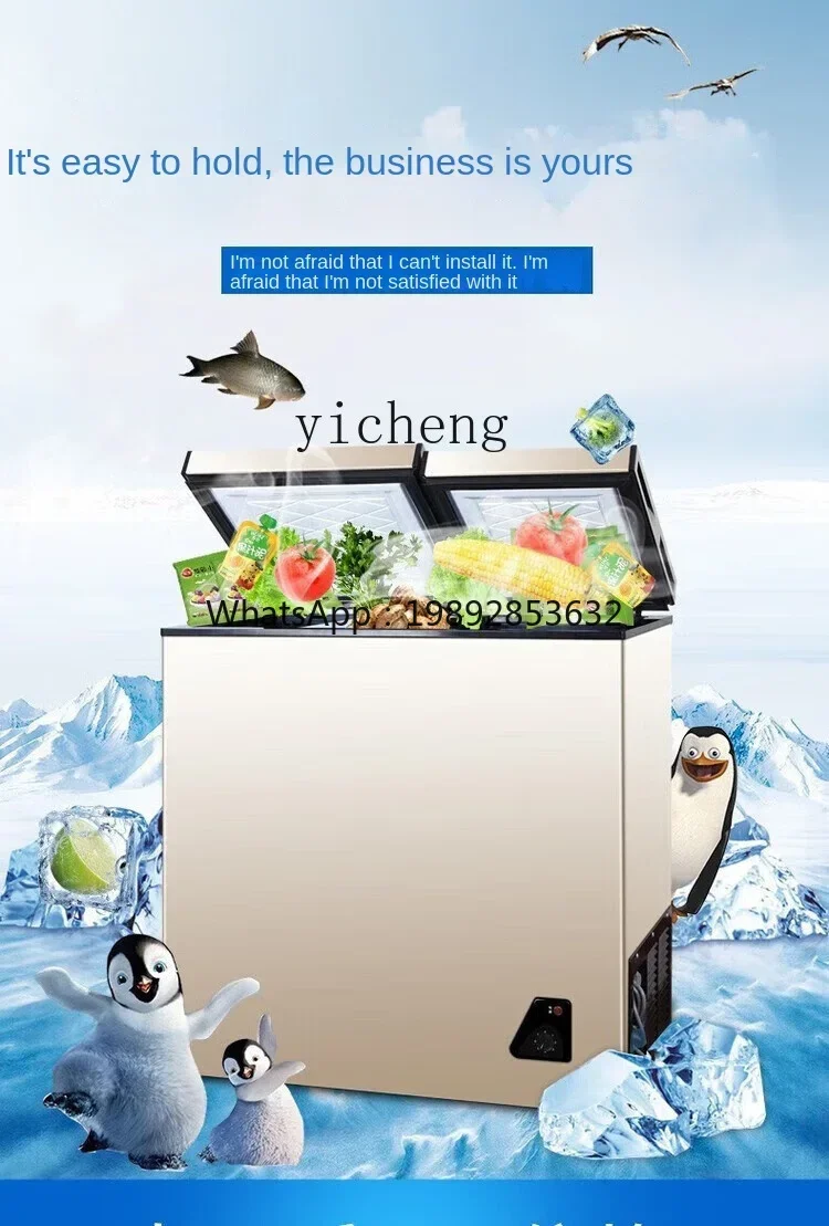 Congélateur domestique compact - Food Storage Frozen avis et prix