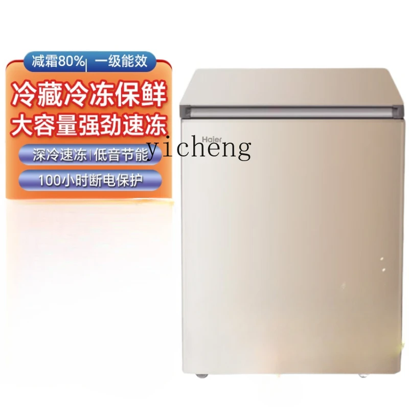 Petit Mini congélateur domesti - Food Storage Frozen avis et prix